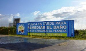 Manglar_Tajamar-1_2-850x510