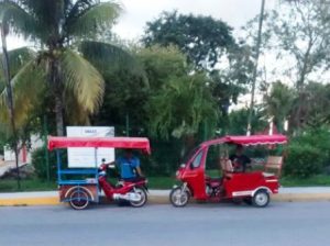 trasnpoprte irregular