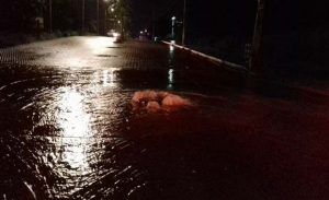 14218358_1746029169006139_1959861502_n