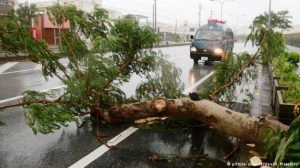 JAPON EVACUADO