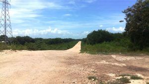 WhatsApp Image 2016-08-23 at 17.07.00 (1)