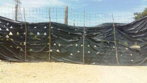 WhatsApp Image 2016-08-23 at 17.07.00