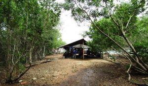 profepa_clausura-predio-en-bacalar-3