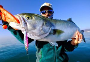 Con el Torneo Vertical Jigging ‘Pioneros’ 2016, en la Riviera Maya, culminará la Temporada 2016 de los Torneos de Pesca Deportiva en la Zona Norte.