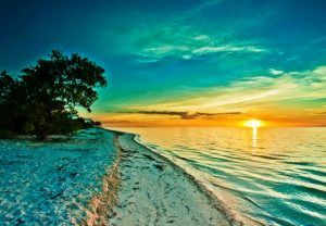 .- Holbox es parte de la reserva de la biósfera y Área de Protección de Flora y Fauna Yum Balam. Esta región es un refugio natural de varias especies en tanto en peligro de extinción, como en observación y la mayoría de los habitantes están interesados en proteger dicha zona.