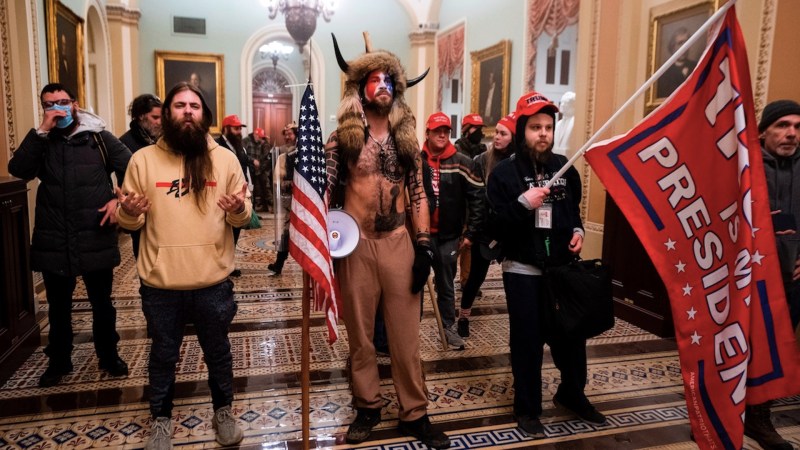 toma del capitolio eeuu bisonte