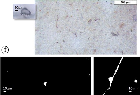 Particulas De Microplasticos Encontradas En Las Muestras De Aire