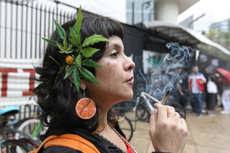 SCJN declara inconstitucional prohibir producción de cáñamo. Foto de EFE