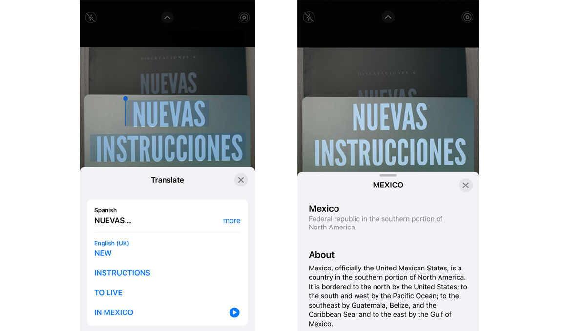 Copiar o traducir: las funciones de Live Text en IOS15