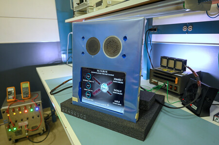 Callisto On Bench 12 01 21 039