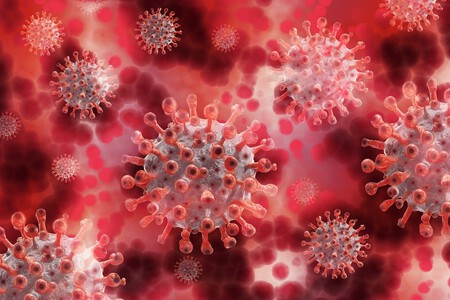 Coronavirus 2