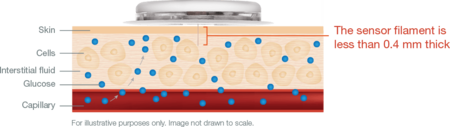 Sensor Filament