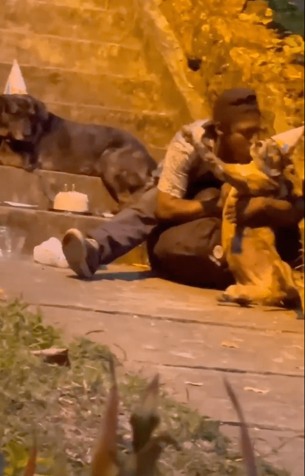 Sniff: Hombre en situación de calle celebra su cumpleaños con sus perritos y el video te hará llorar