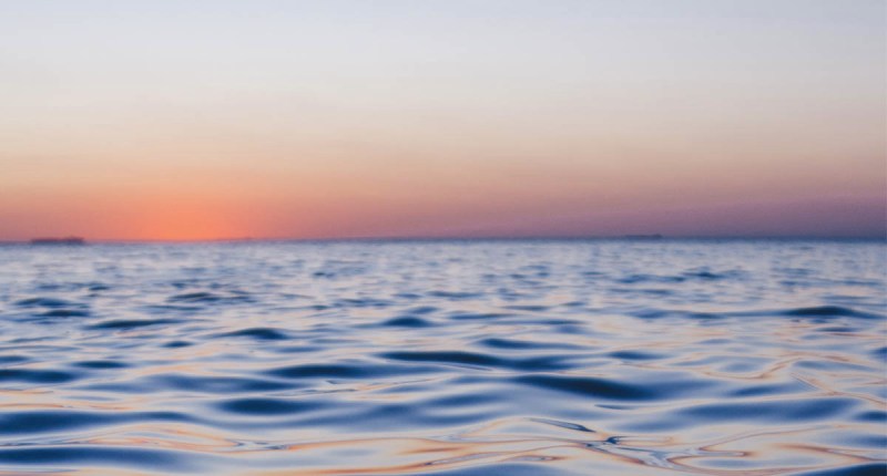 Océano mar agua extinción