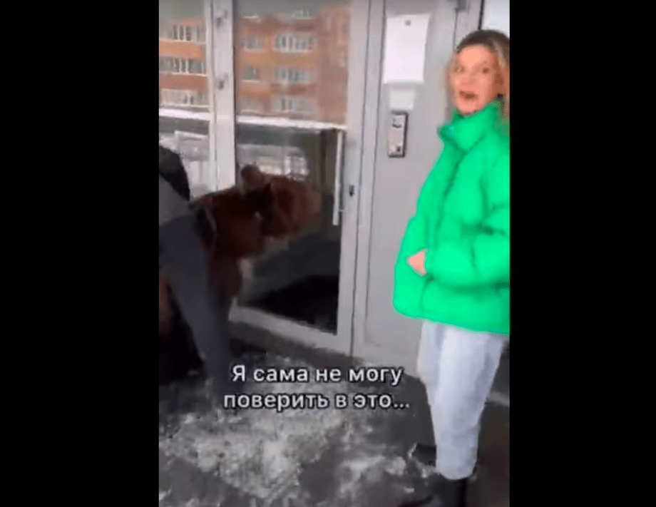 Tiktoker metió un oso a su casa y la investigan por maltrato animal