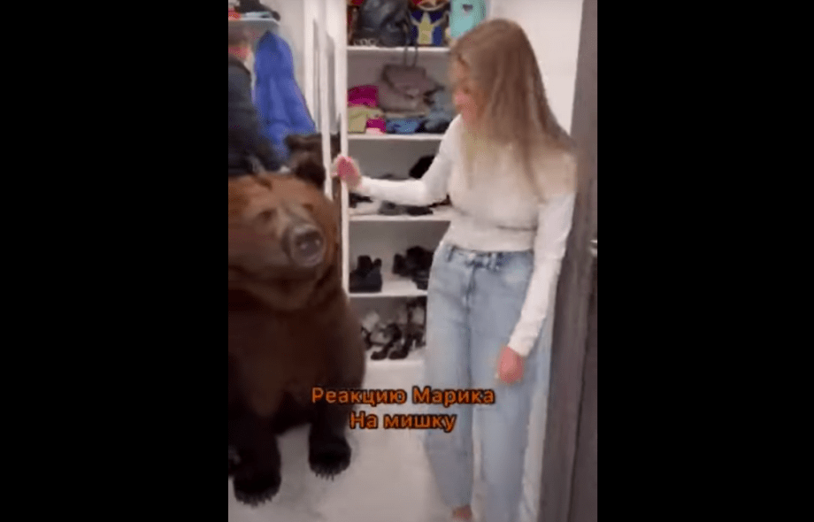 Tiktoker metió un oso a su casa y la investigan por maltrato animal
