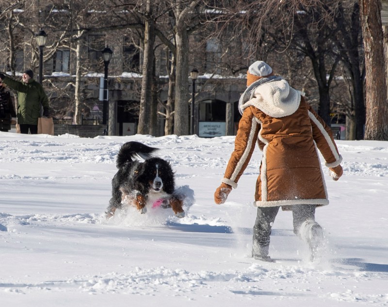 Tormenta invernal en Boston