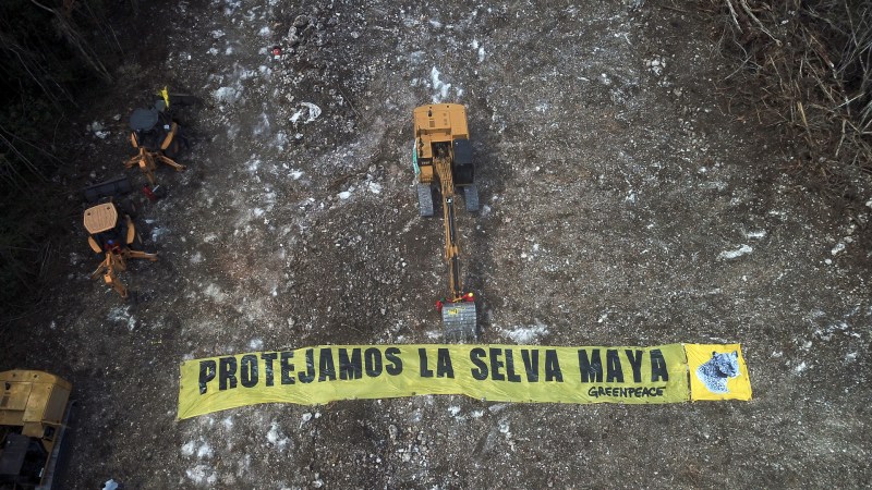 Activistas de Greenpeace se encadenan a maquinaria del Tren Maya