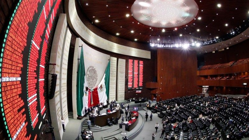 Cámara de Diputados Ley Ingrid