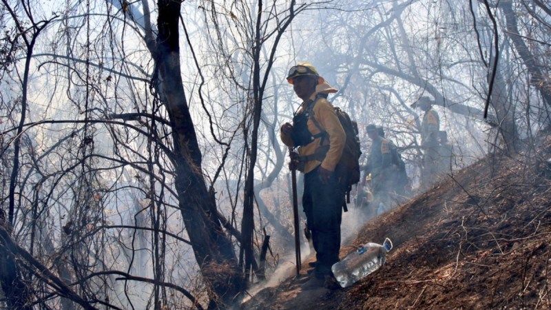 Profepa Tepozteco Incendio Cerro Tepoztlán