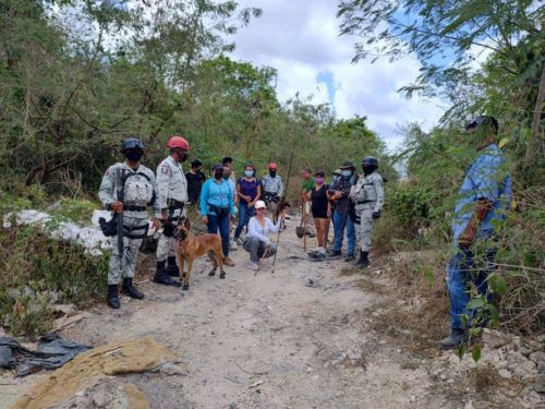 Se mantiene trabajo de campo para buscar personas desaparecidas en Quintana Roo