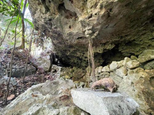 Investiga el INAH hallazgo arqueológico en Tramo 5 del Tren Maya
