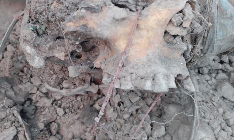 Líder de Madres buscadoras halla restos de hijo en fosa del norte de México Hermosillo Sonora