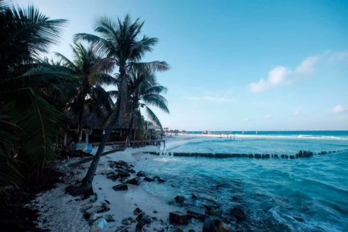 Acercamiento de Sedetur con las plataformas digitales para garantizar servicios de calidad