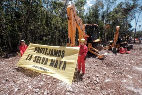 Juez ordena suspensión provisional de la obra del tramo 5 del Tren Maya