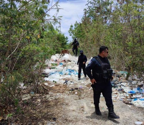 Realizan búsqueda de personas desaparecidas en zonas irregulares y monte de Cancún