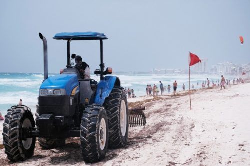 Varias brigadas realizan diaria labor para mantener limpias las playas de Cancún