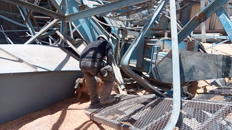 Colapsa silo granos Torreón Coahuila