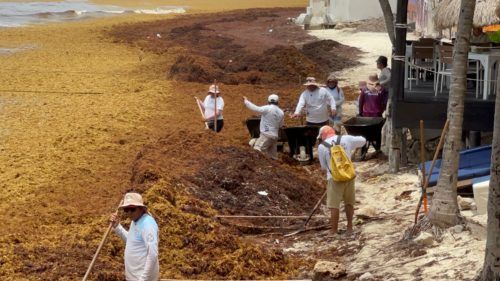 LA LEY LOS OBLIGA || Ayuda a la limpieza de playas solo el 20% de los concesionarios de playas en Solidaridad