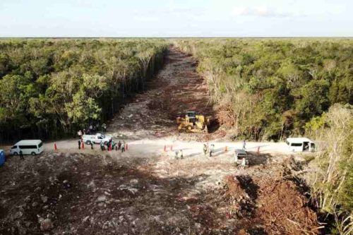 “No van a detenernos”: AMLO anuncia acciones tras amparo definitivo contra Tren Maya