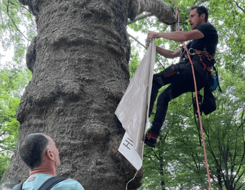 activista acaba su huelga de hambre colgado en un árbol de la Torre Eiffel. Foto de EFE