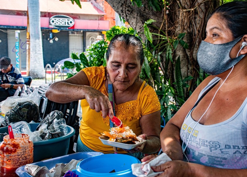 Feria dedicada a hormiga comestible se celebra en estado mexicano de Chiapas