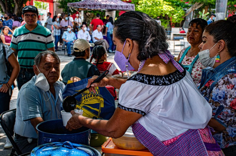 Feria dedicada a hormiga comestible se celebra en estado mexicano de Chiapas
