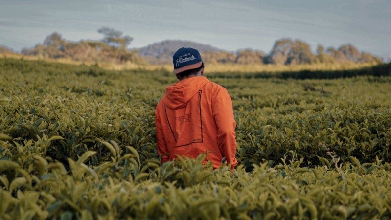 El presidente López Obrador reveló que negocia con Estados Unidos y Canadá el envío de trabajadores mexicanos a estos países, durante COVID-19