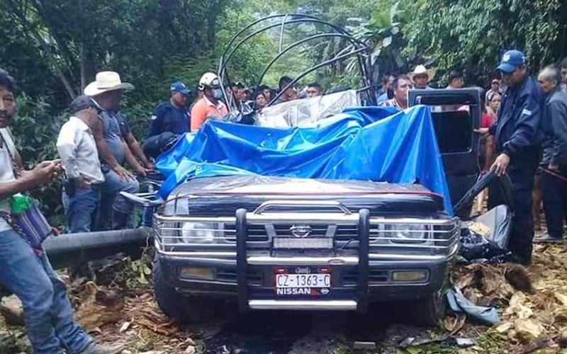 Mueren 3 personas tras caída de árbol debido a lluvias en Chiapas. Foto de El Heraldo de Chiapas