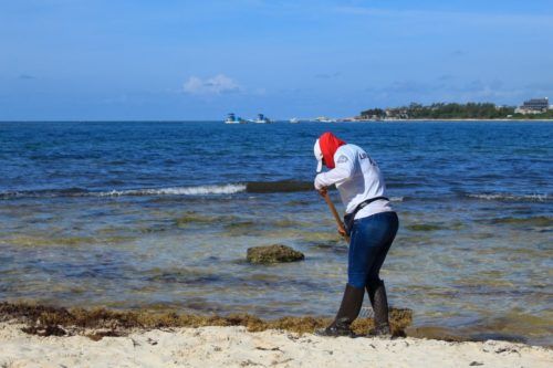 Se mantiene la limpieza constante de playas en Solidaridad