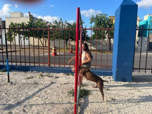 Crea Aguakan Gym canino en Villas del Sol