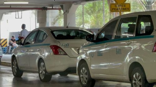 Alistan taxistas aplicación para solicitar servicio de transporte