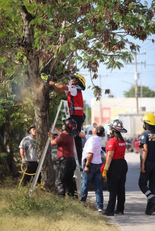 Blanca Merari Tziu pone en marcha jornadas de mejoramiento de la imagen urbana en Puerto Morelos