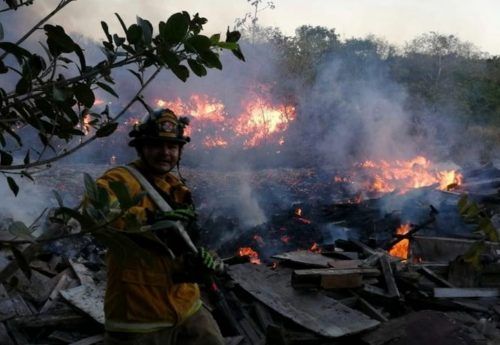 Investigan a inmobiliarias por provocar incendios forestales