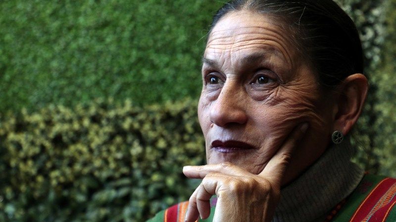 Jesusa Rodríguez embajadoras senadora Morena