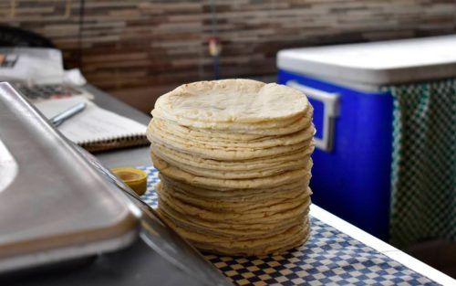 Quintanarroenses dejan de comer tortilla por el aumento en su precio