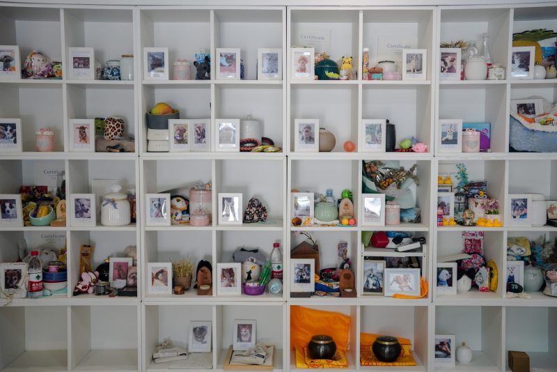 Último adiós a mascotas, negocio en auge en China. Foto de EFE