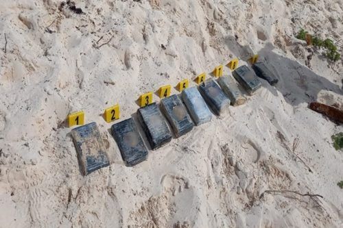 Recalan 09 paquetes de cocaína en playas de Cozumel