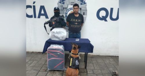 Detenido con la “maleta” de marihuana en Plata del Carmen
