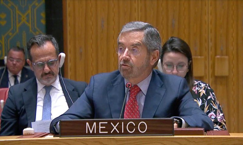 Juan Ramón de la Fuente ONU